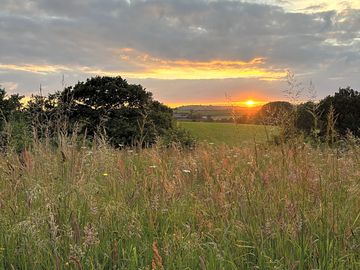 Sunset at Tarnwell