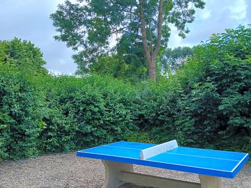Ping-pong table