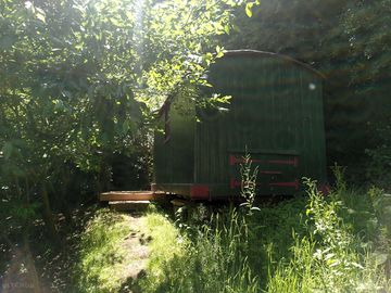 Willow shepherd's hut