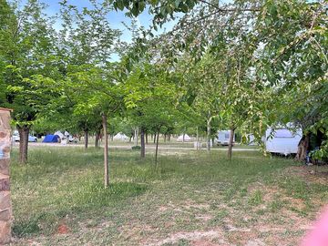 Pitches shaded by trees