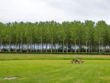 Level grass pitches sheltered by trees