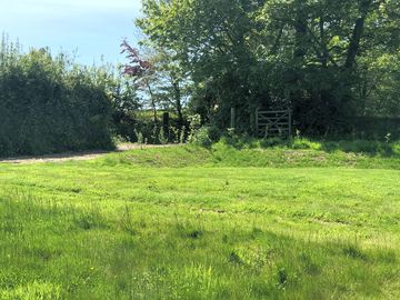 Sycamore Campervan pitch