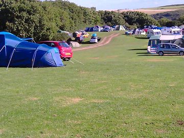 Grass pitches