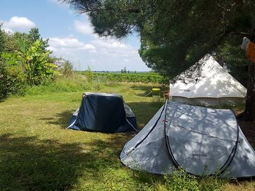 Pitches and bell tent