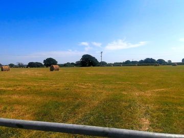 The site's field on the opposite side of the road to the farmstead