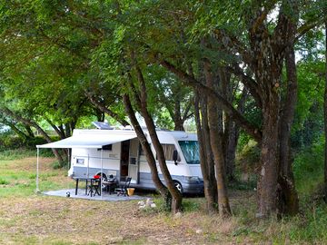 Pitch under the trees
