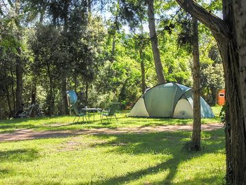 Shaded grass pitches
