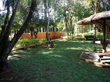 Green areas