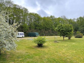 Woodland surroundings