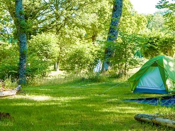 Pitches shaded by trees