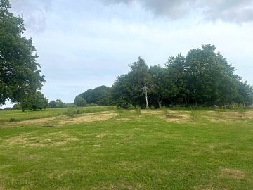 Plenty of areas to camp under the trees