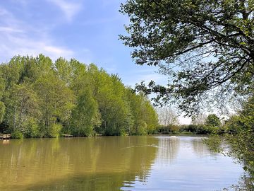 View over the fishing pools