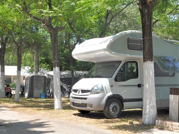 Pitches shaded by trees