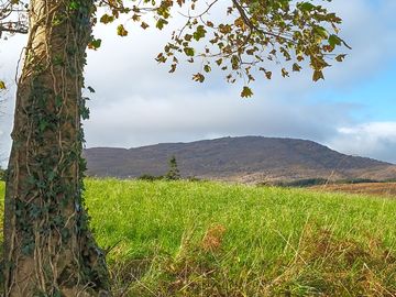View from a pitch