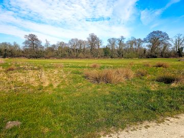 Pick-your-own-pitch camping area