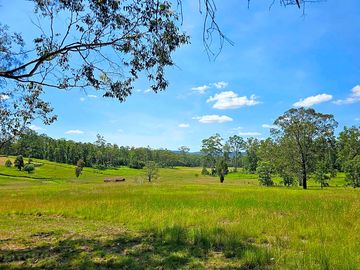 Wallaby meadows campsite