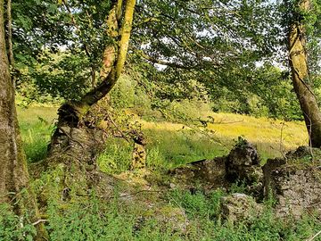 Peaceful countryside