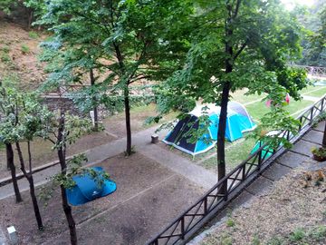 Tent pitches shaded by trees