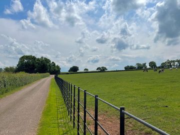 View around the farm