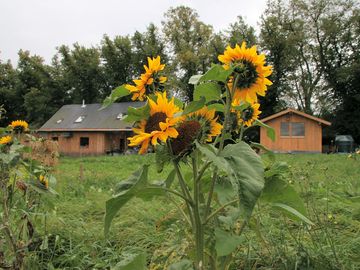 Farm buildings