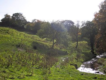 River terrig