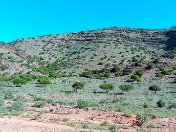 Views of the surrounding terrain