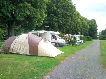 Pitches with trees for shade