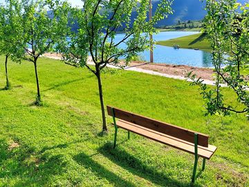 Bench surrounded by fruit trees and with lake views