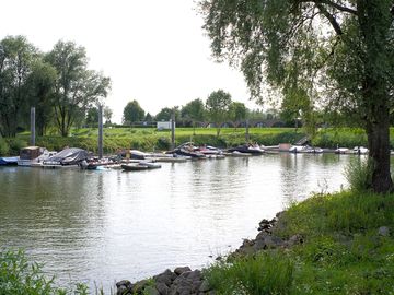Around the water