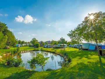 Pond on site