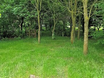 Non-electric grass and earth pitch no. 22