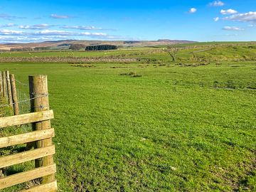 Grassy, level pitches