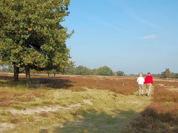 Walking trails in the surrounding heathland