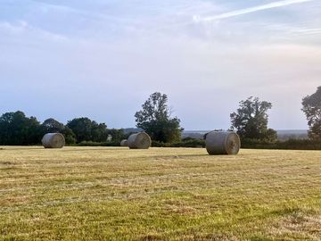 While the sun shines make hay