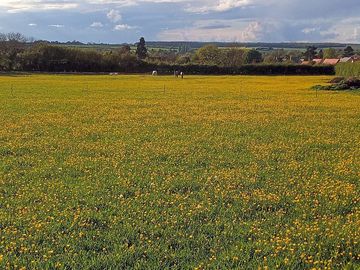 View across the fields towards the village