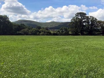 Camping pitches