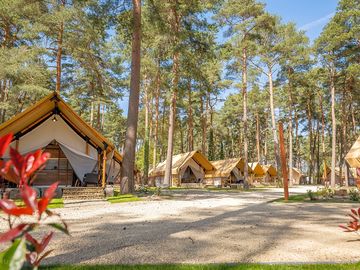 Papendaal safari tents