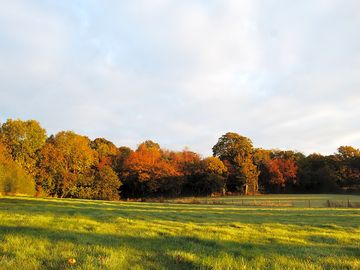 Plenty of space in the field