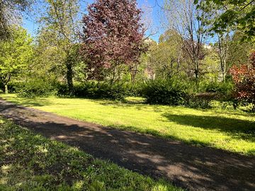 Pitches in sun and shade