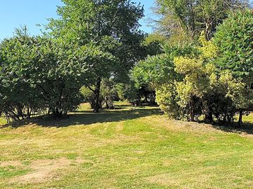 View of the site