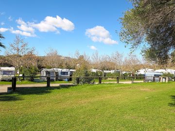 Pitches among the trees