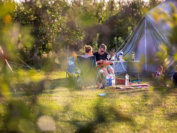 Grass tent pitch