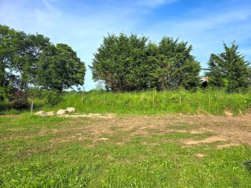 Pitches sheltered by trees