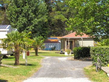 Around the site