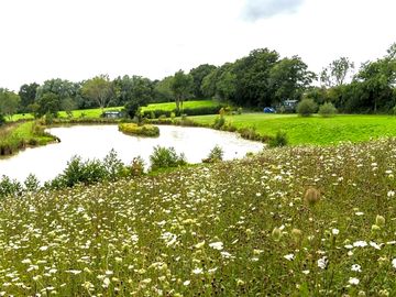 Perch and tench shepherds huts