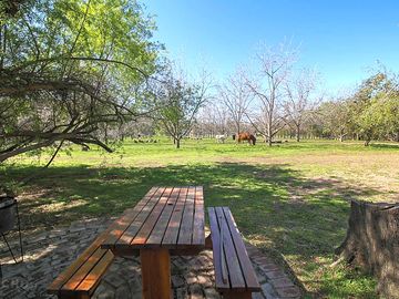 Lunch with a view