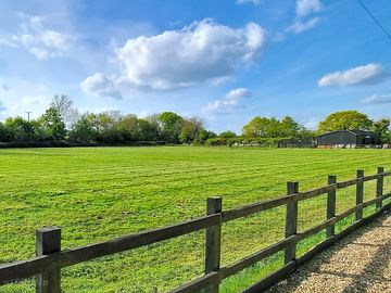 Grassy pitches