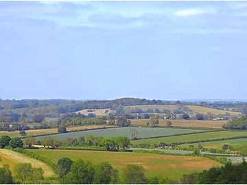 Views from main site