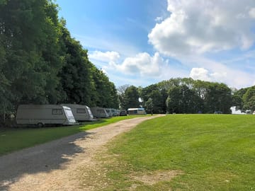 Tourer pitches under trees