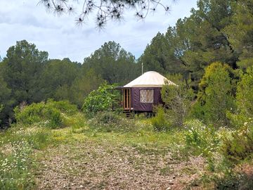 Yurt exterior